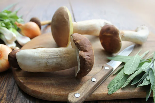 Mushroom boletus op snijplank — Stockfoto