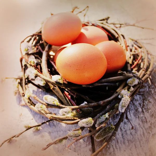 Vintage foto van Pasen eieren in het nest — Stockfoto