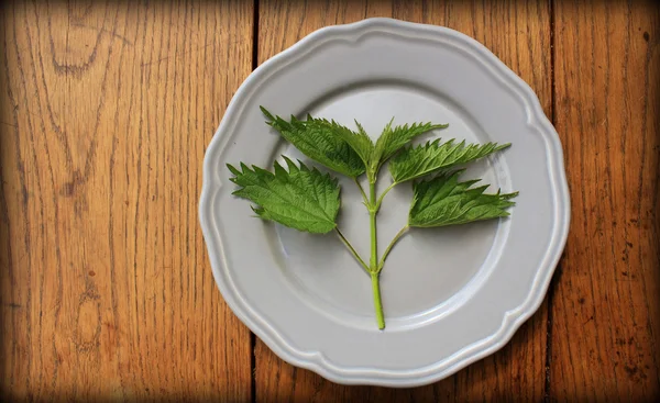 Stinging nettle on a plate — Stock Photo, Image