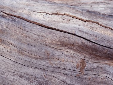 Soyut ahşap masa dokusu arka planı. Eski ahşap masa dokusundan yapılmış koyu renk ahşabı kapat.. 