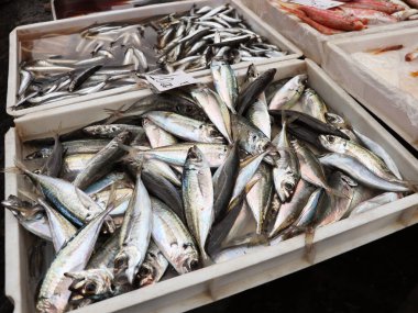 Deniz balığı pazarı. Sokak pazarı. Taze balık satışı. Deniz ürünleri. Sağlıklı beslenme. Taze yemek.