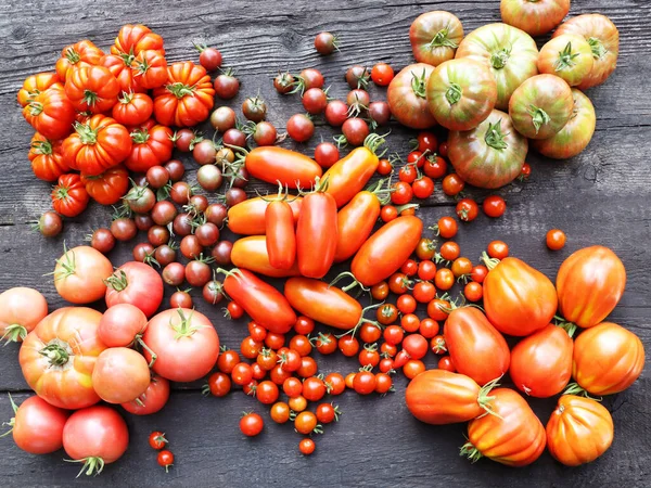 Farklı türde domatesler. Renkli domatesler arkaplan.