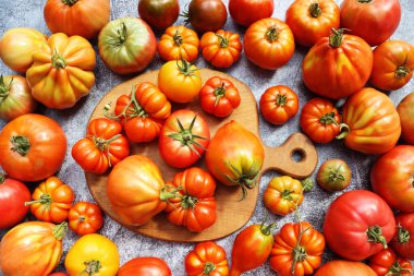 Canlı Aile Yadigarı Domatesler Kırsal bir yüzeyde toplandı