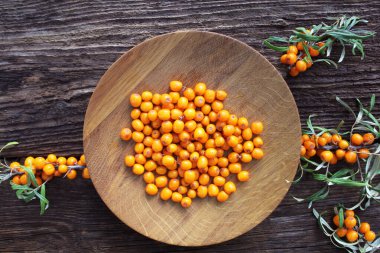 Deniz topalak plaka ve çevresinde deniz cehri çilek ahşap tablo