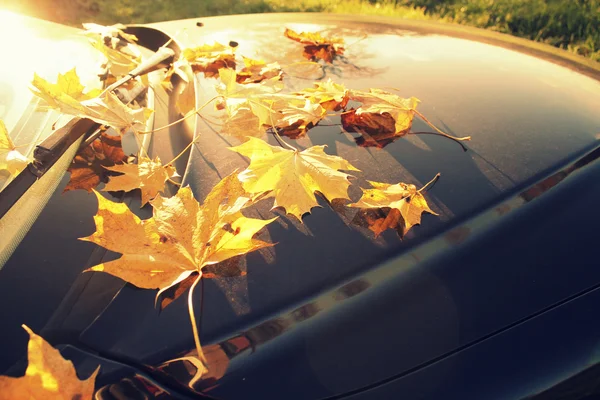 Fallen autumn leaves on car — Stock Photo, Image
