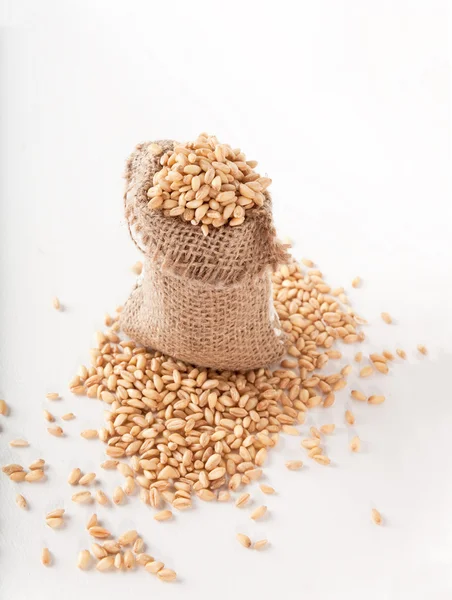 Sack with wheat isolated on white background — Stock Photo, Image