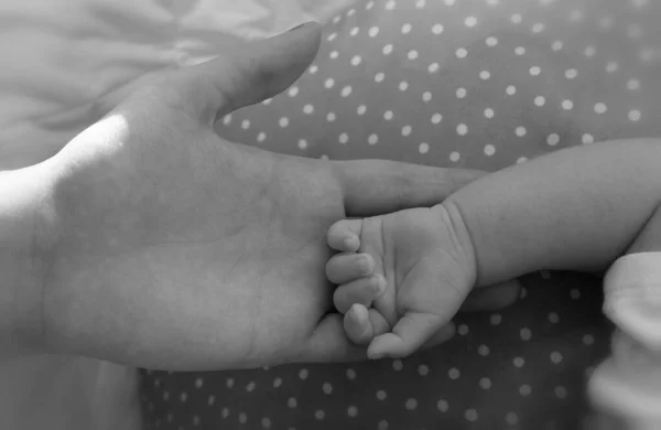 Baby Hand Mother Hands Black White — Stock Photo, Image