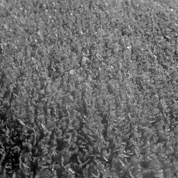 Ice crystals in the snow in monochrome — Stock Photo, Image