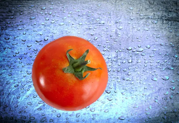 Red tomaat over blauwe Water drops achtergrond grunge stijl — Stockfoto