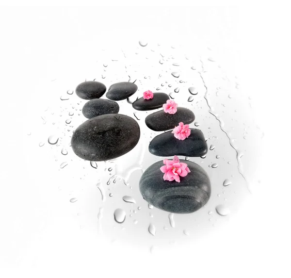 Pedras de spa preto e flores cor-de-rosa na água cai fundo isolado no branco. Pedras de basalto zen . — Fotografia de Stock