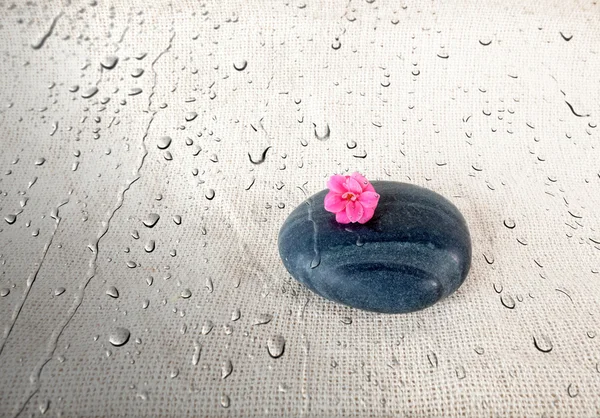 Zwarte gladde steen met roze bloem op natte Sackcloth achtergrond — Stockfoto