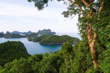 Denize ve gökyüzüne bak