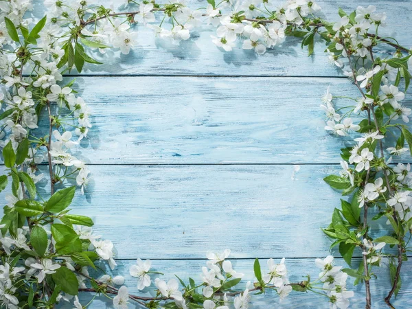 Blooming cherry twig over old wooden table. — Stock Photo, Image