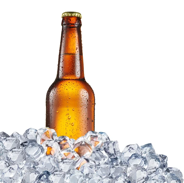 Koud flesje bier in de ijsblokjes. — Stockfoto