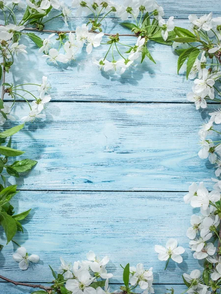 Blooming cherry twig over old wooden table. — Stock Photo, Image