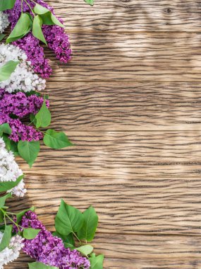 Eski ahşap masaya Lila çiçek çiçeklenme.