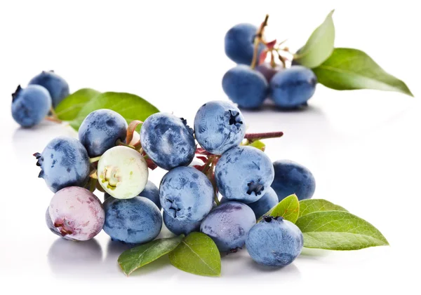 Blueberries with leaves on a white background. — Stock Photo, Image