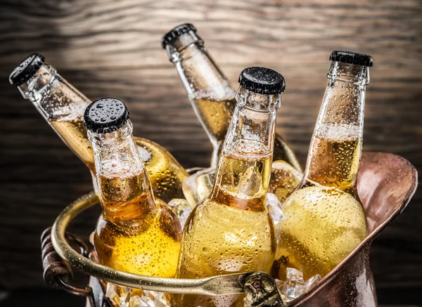 Frías botellas de cerveza en el cubo de bronce . —  Fotos de Stock