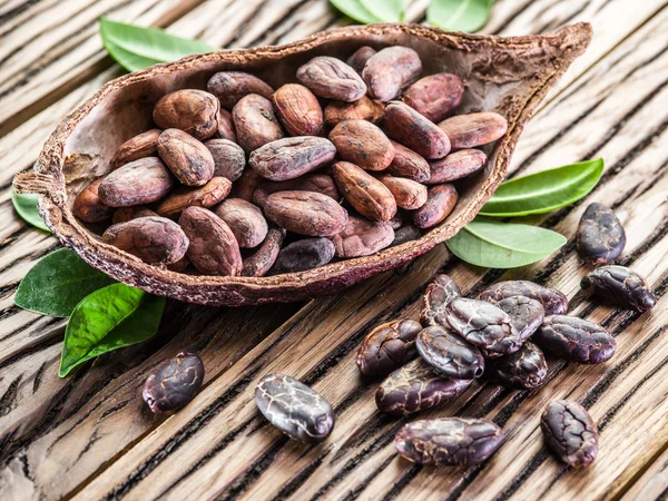 Vaina de coco y granos de cocao en la mesa de madera . — Foto de Stock