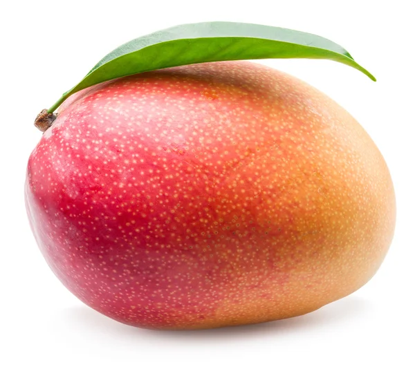 Mango-Frucht mit Blatt isoliert auf weißem Hintergrund. — Stockfoto