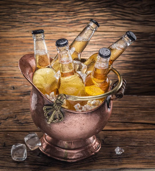 Kalla flaskor öl i fräck hinken. — Stockfoto