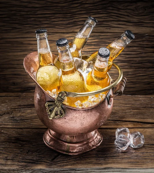 Kalla flaskor öl i fräck hinken. — Stockfoto
