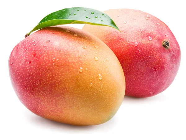 Mango gyümölcs a vízcseppek. Elszigetelt fehér background. — Stock Fotó