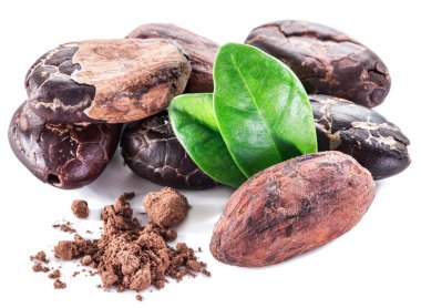 Beyaz bir arka plan üzerinde izole Cocao fasulye.