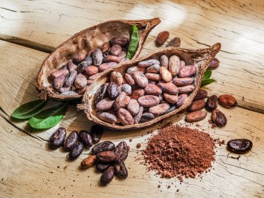 Ahşap masa Cocao toz ve cocao fasulye.