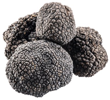 Siyah truffles. Dosyada, kırpma yolları.
