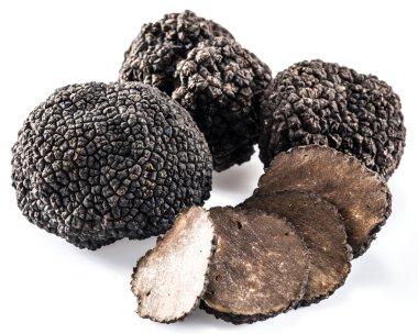Beyaz arka planda siyah trüf mantarları izole edildi.