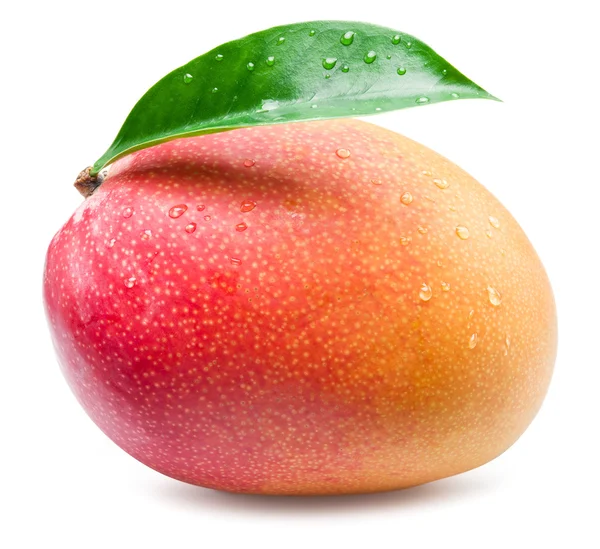 Φρούτα μάνγκο με φύλλο που απομονώνονται σε λευκό φόντο. — Φωτογραφία Αρχείου