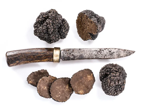 Zwarte truffels geïsoleerd op een witte achtergrond. — Stockfoto