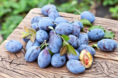 Erik eski ahşap masa.