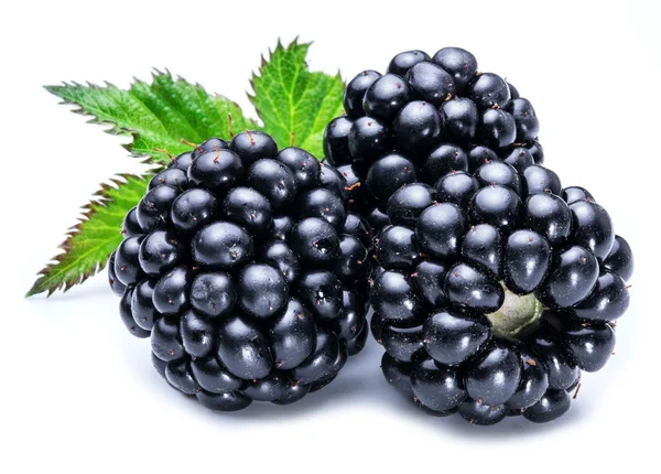 Three blackberries on the white background. — Stock Photo, Image