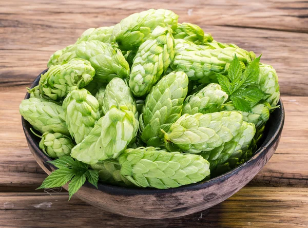 Hop cones in the old wooden tray. — Stock Photo, Image