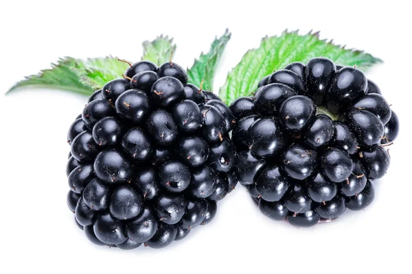 Two blackberries on the white background. — Stock Photo, Image