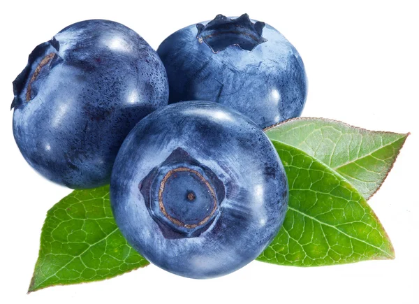 Blueberries with leaves on a white background. — Stock Photo, Image