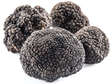 Beyaz arka planda siyah trüf mantarları izole edildi.