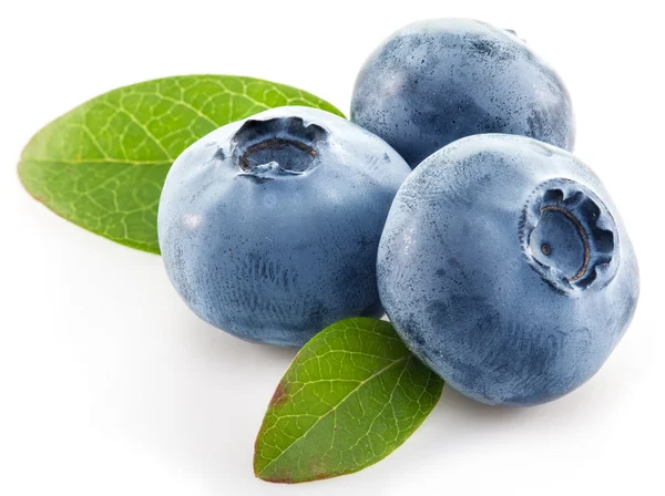 Ripe blueberries on the white background. — Stock Photo, Image