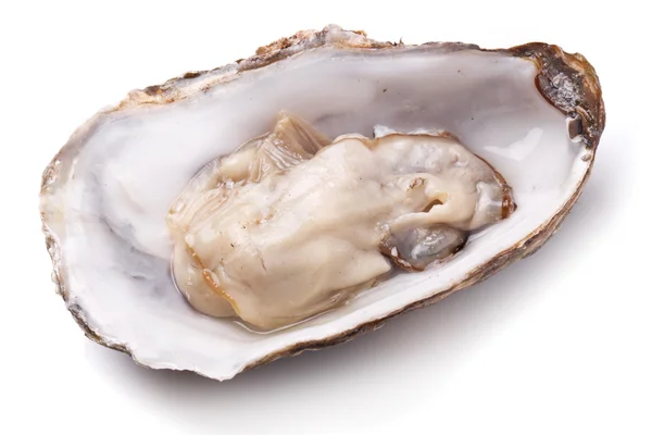 Raw oyster on a whte background. — Stock Photo, Image