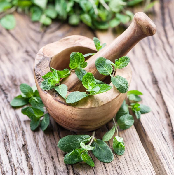 Menta fresca, argamassa de madeira e pilão . — Fotografia de Stock