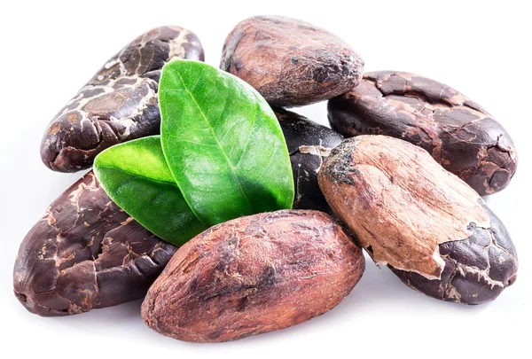 Cacaobonen geïsoleerd op een witte achtergrond. — Stockfoto
