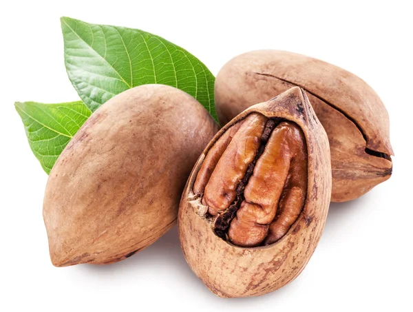 Pecan nuts isolated on a white background. — Stock Photo, Image