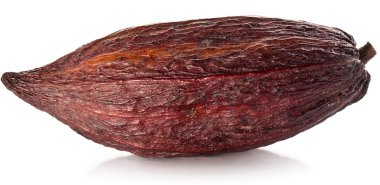 Beyaz arkaplanda kakao kabuğu.