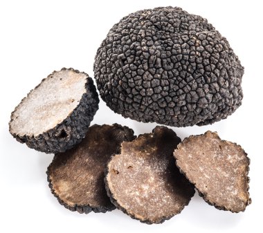 Beyaz arka planda siyah trüf mantarları izole edildi.