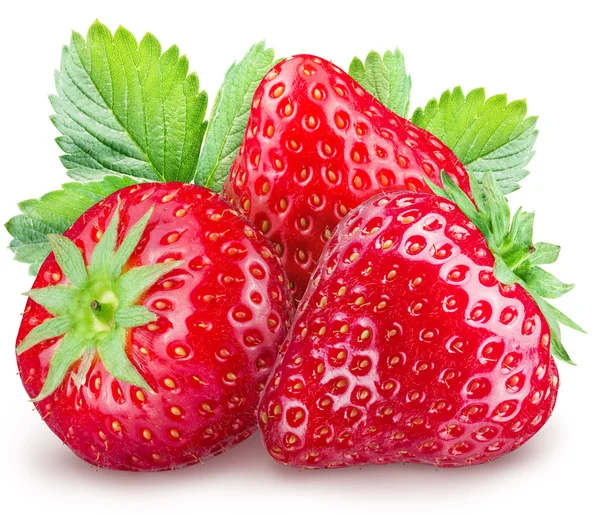 Erdbeeren auf weißem Hintergrund. — Stockfoto