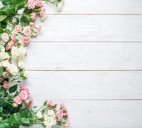 Rosas frescas delicadas no fundo de madeira branca . — Fotografia de Stock
