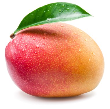 Mango meyve su damla ile. Beyaz bir arka plan üzerinde izole.