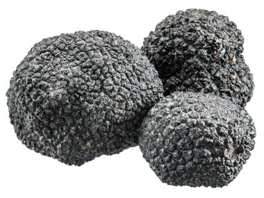 Siyah truffles. Dosyada, kırpma yolları.